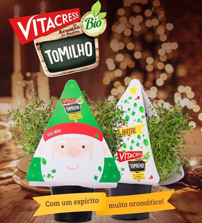 tomilho